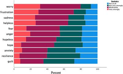 Exploring Climate Emotions in Canada’s Provincial North